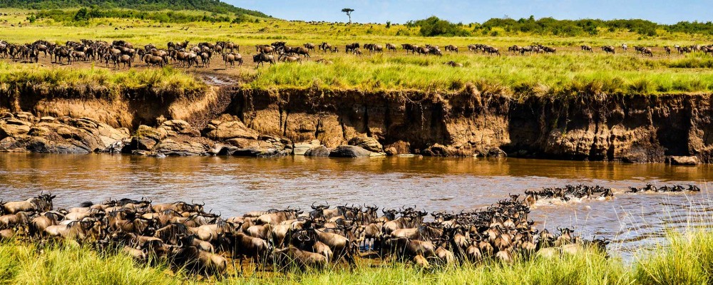 Non Residents Maasai Mara Packages | Group Joining Safari | 3 Days & 2 Nights