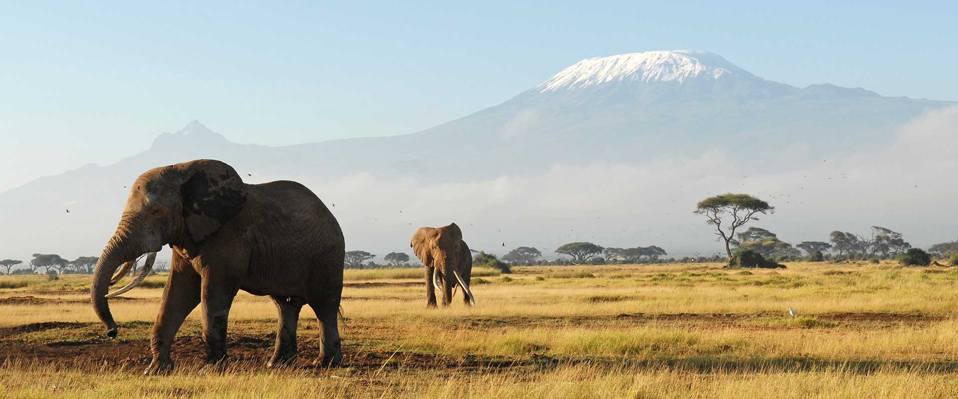 Amboseli 3 Days 2 Nights Safari Deals | Amboseli Safari Packages
