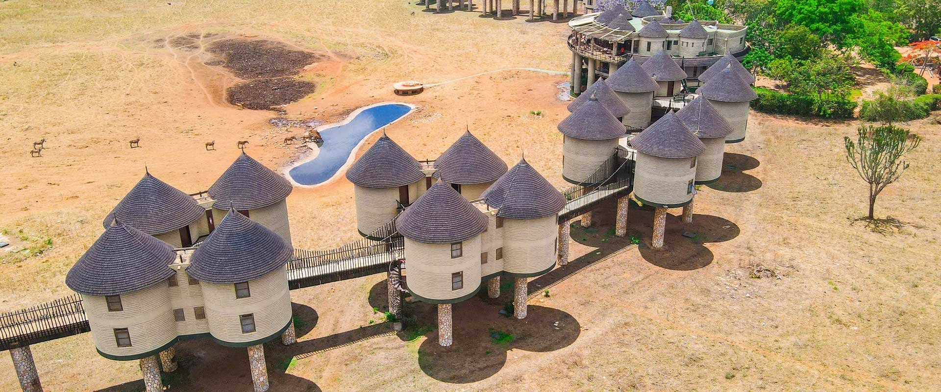 Salt Lick Safari Lodge | SGR Package | Tsavo West | 3 Days & 2 Nights