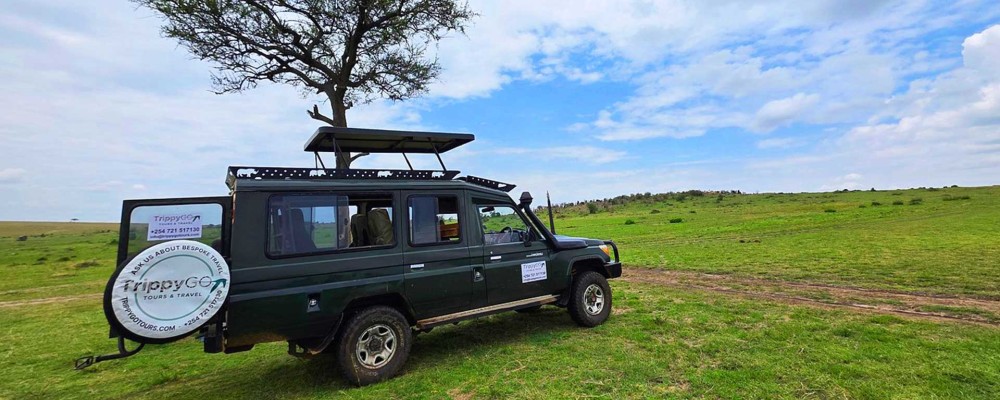 Maasai Mara Group Joining Safari | Non Residents