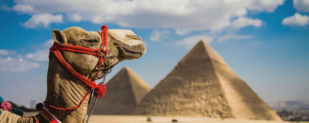 8 Days Cairo Nile Cruise & Hurghada Package | Egypt Tour