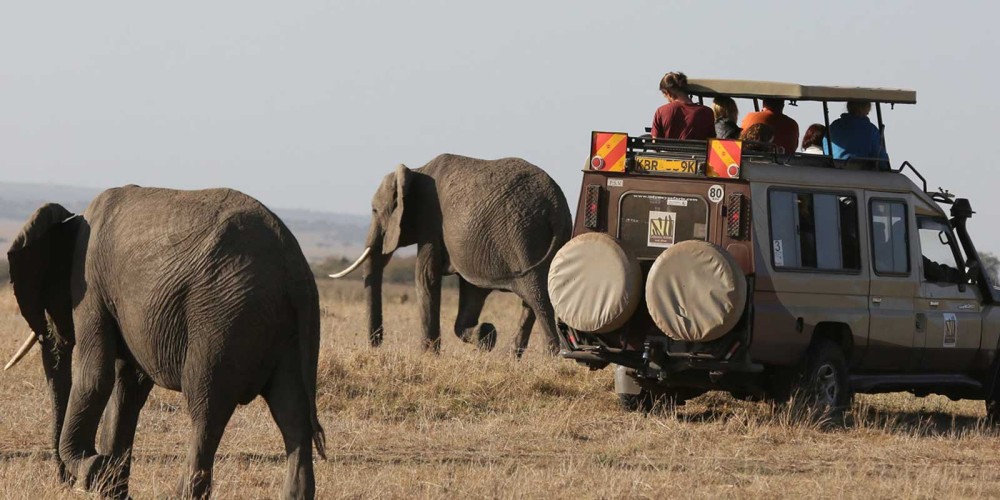 7 Days | 6 Nights Nairobi - Amboseli - Naivasha –Mara Safari