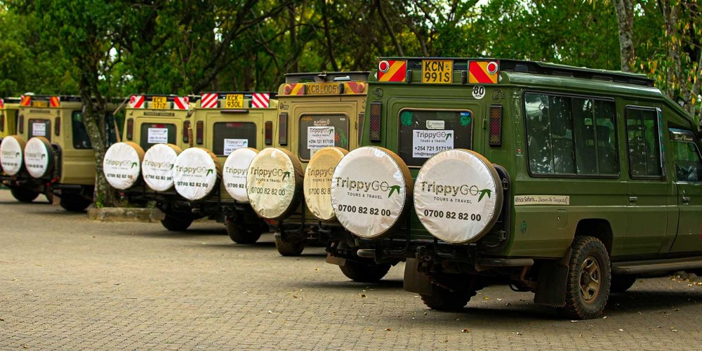 Maasai Mara Group Joining Safari | 3 Days Package