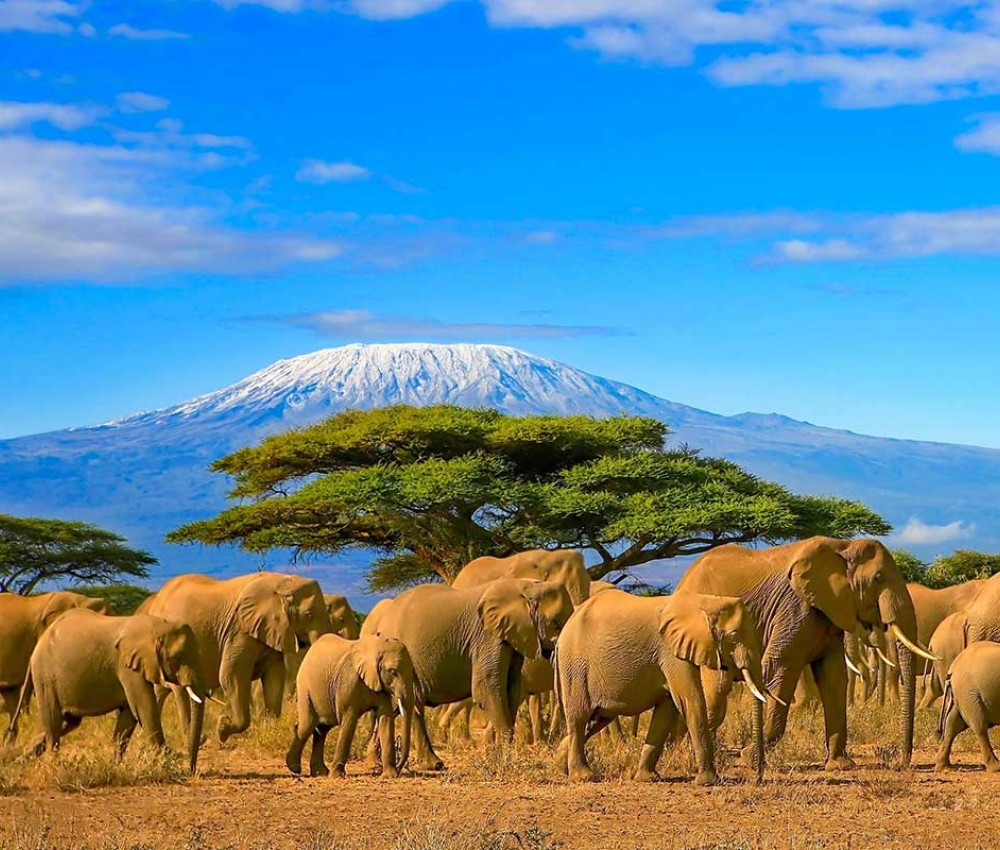 Tanzania