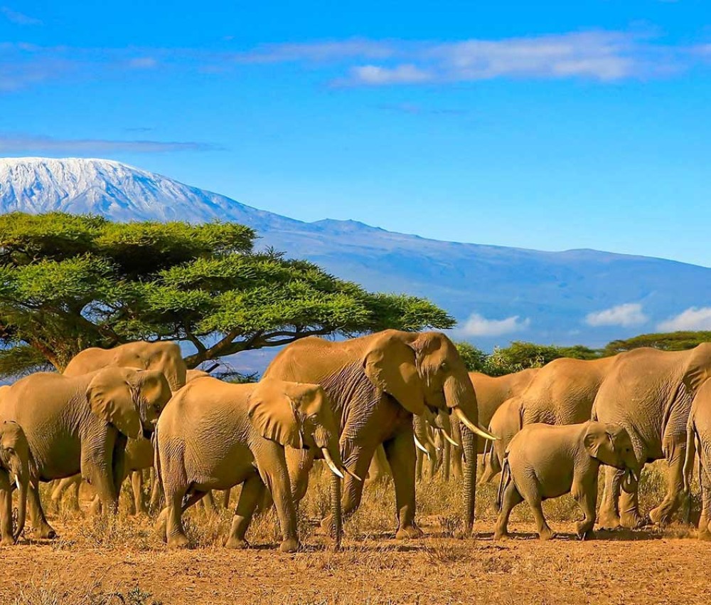 Tanzania Packages