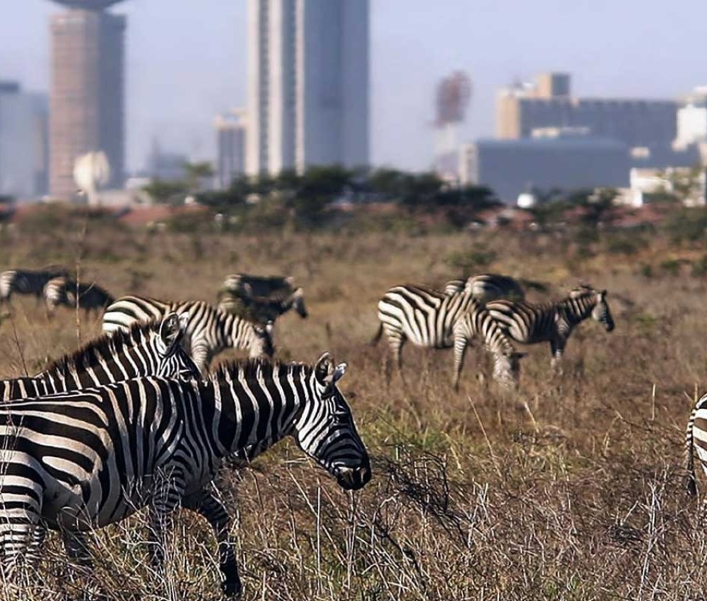 Top Rated Tourist Attractions In Kenya