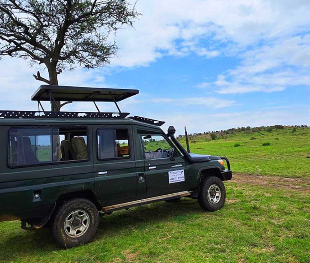 Maasai Mara Group Joining Safari | Non Residents