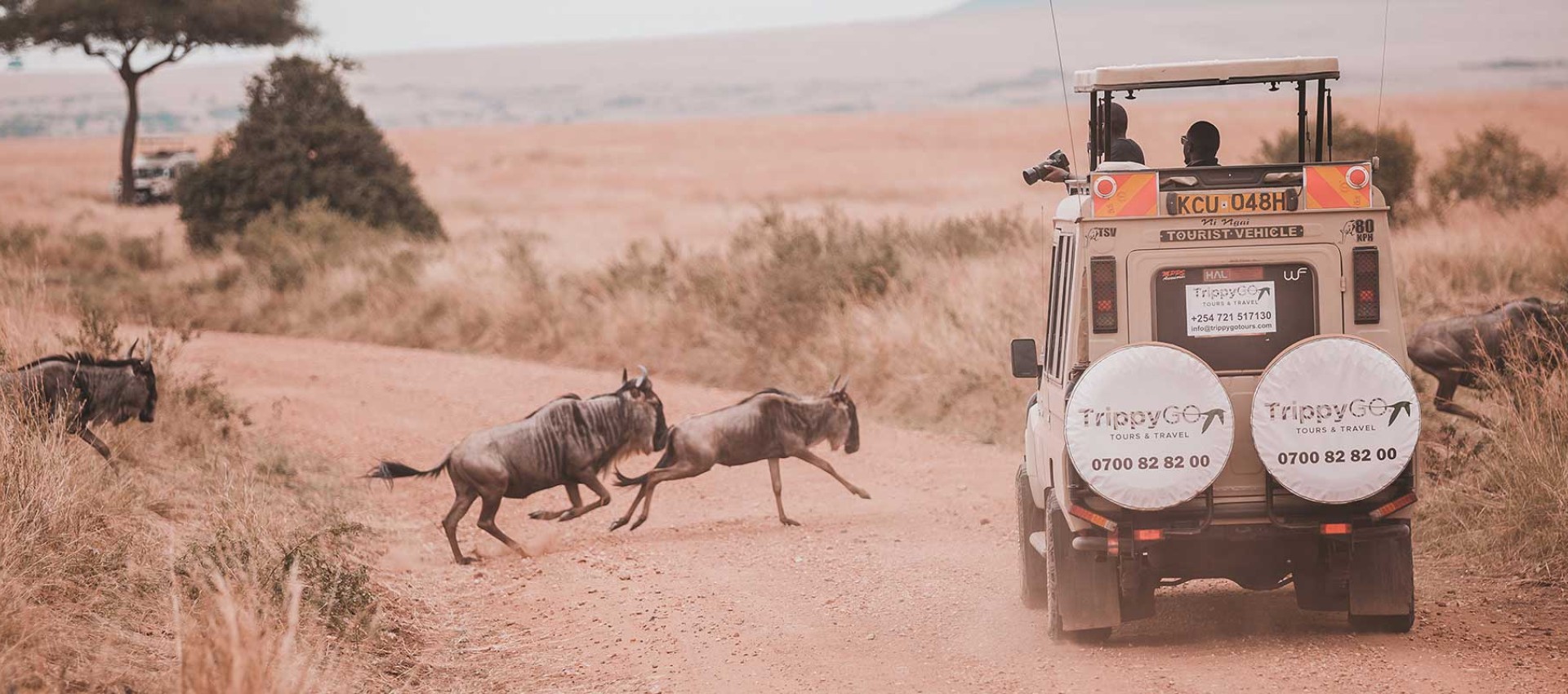 Masai Mara Wildebeest Migration 2023 Image