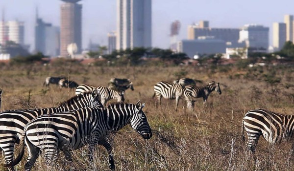Top Rated Tourist Attractions In Kenya