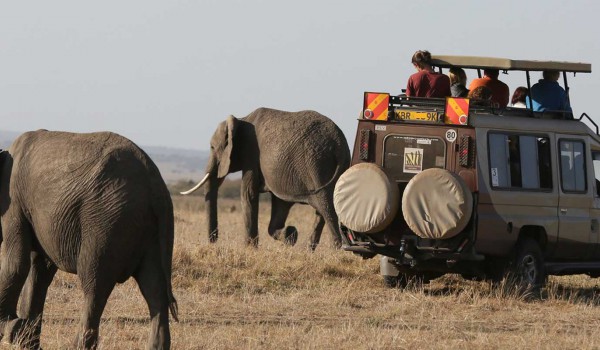 7 Days | 6 Nights Nairobi - Amboseli - Naivasha –Mara Safari