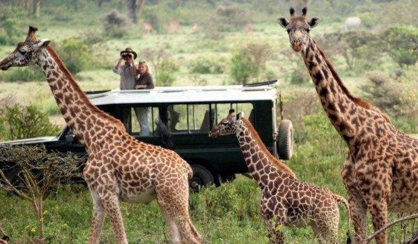 8 Days & 7 Nights Kenya Classic Safari Package