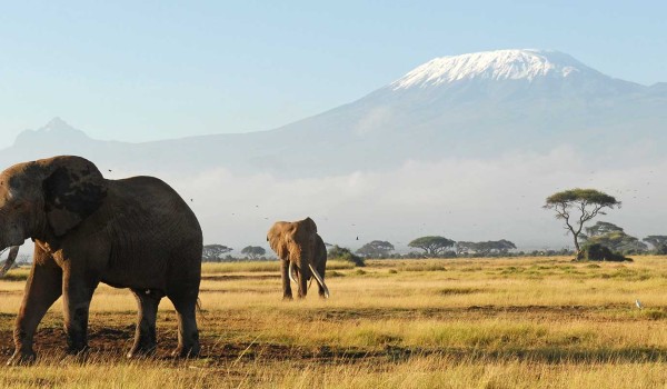 Amboseli 3 Days 2 Nights Safari Deals | Amboseli Safari Packages