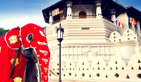 Srilanka Classical Tour | Colombo - Kandy - Bentota - Colombo